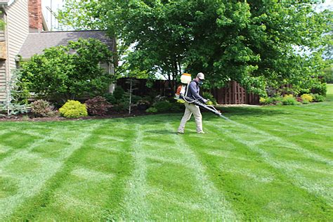 Top 10 Best lawn care services in San.